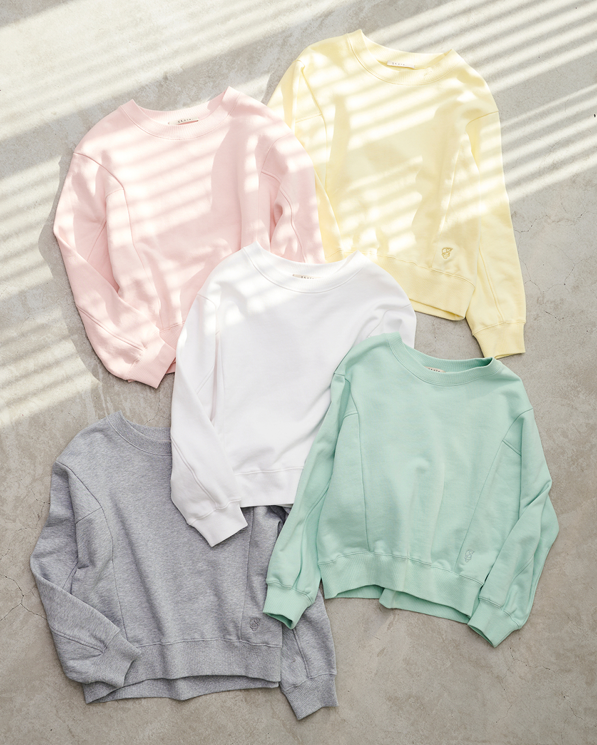 5 color sweatshirt