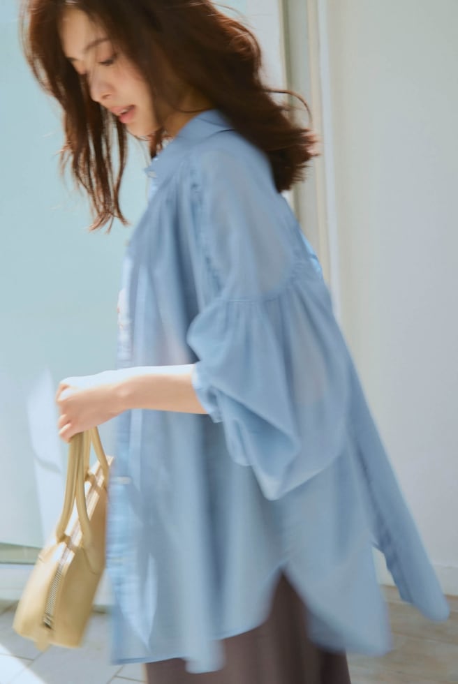 Sheer Shirt